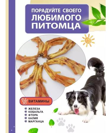 Candidate Master of Sports DoG Clot of paw duck for dogs delicious 500 g - Buy Online on GoSupps.com
