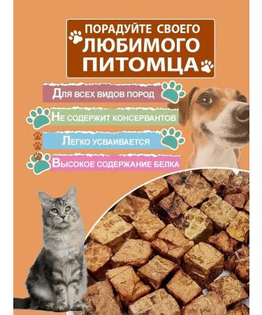 Candidate Master of Sports DoG Delicacy light beef for dogs delicious 100 g - Buy Online on GoSupps.com