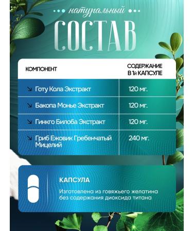 NSOrganic Nootropic complex - hedgehog Gotha Kola and Gingko Biloba - Buy Online on GoSupps.com