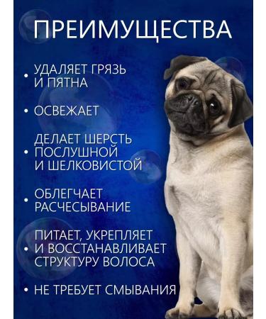 BioGroom Shampoo-spray without washing 3.8 liters - Buy Online on GoSupps.com