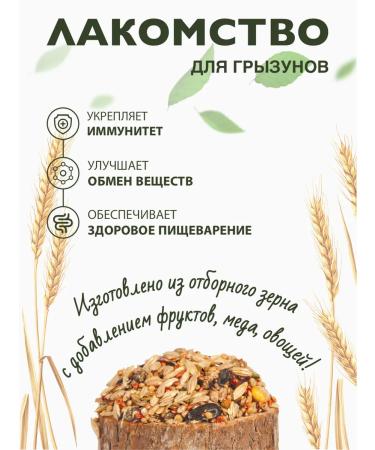 Triol Treats for hamsters and rats - Buy Online on GoSupps.com