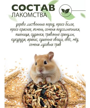 Triol Treats for hamsters and rats - Buy Online on GoSupps.com