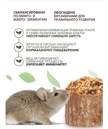 Triol Treats for hamsters and rats - Buy Online on GoSupps.com