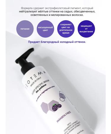 THEOTEMA Tinting mask to neutralize yellowness 250 ml - Buy Online on GoSupps.com