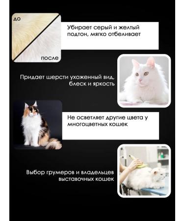 Doctor Groom White fluffy cat shampoo 200 ml - Buy Online on GoSupps.com