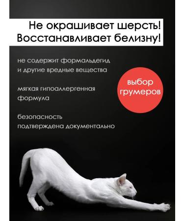 Doctor Groom White fluffy cat shampoo 200 ml - Buy Online on GoSupps.com