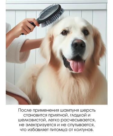 Green Day Eco shampoo for puppies and kittens without SLS Sles 400ml - Buy Online on GoSupps.com