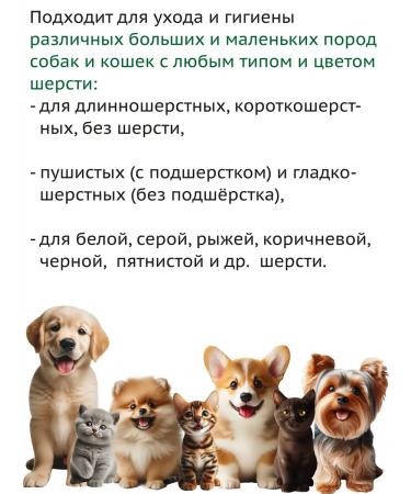 Green Day Eco shampoo for puppies and kittens without SLS Sles 400ml - Buy Online on GoSupps.com