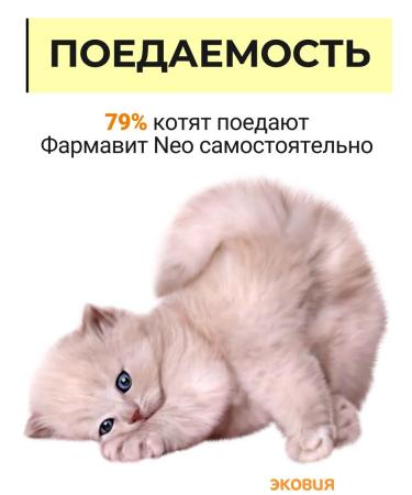 Farmavit Neo A complex of vitamins for kittens 2 units - Buy Online on GoSupps.com