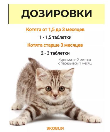 Farmavit Neo A complex of vitamins for kittens 3 - Buy Online on GoSupps.com