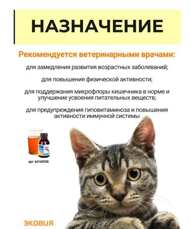 Farmavit Neo A complex of vitamins for elderly cats 5 l - Buy Online on GoSupps.com
