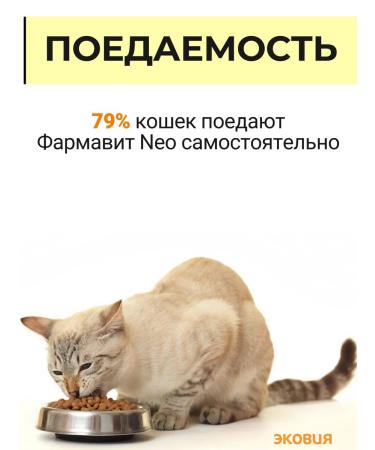 Farmavit Neo A complex of vitamins for elderly cats 5 l - Buy Online on GoSupps.com