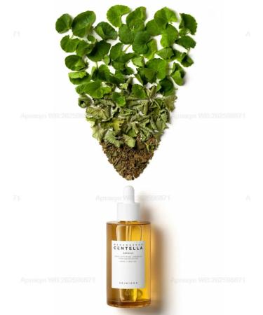 SKIN1004 Ampula from 100% of Centella Madagascar Centella ampoule - Buy Online on GoSupps.com