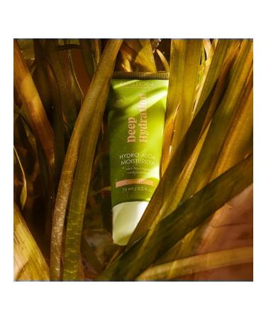 Dalton Moisturizer cream 75ml - Buy Online on GoSupps.com