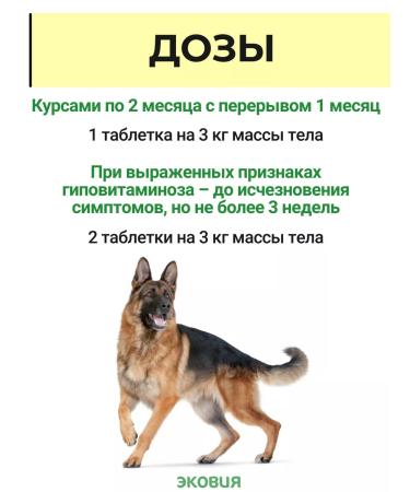 Farmavit NEO Complex of vitamins for dogs 3 - Buy Online on GoSupps.com