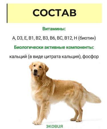 Farmavit NEO A complex of vitamins for dogs 10 l - Buy Online on GoSupps.com