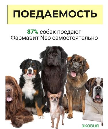 Farmavit NEO A complex of vitamins for dogs 10 l - Buy Online on GoSupps.com