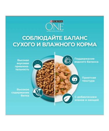 Dry food for cats "Purina One" with beef 3kg - Buy Online on GoSupps.com