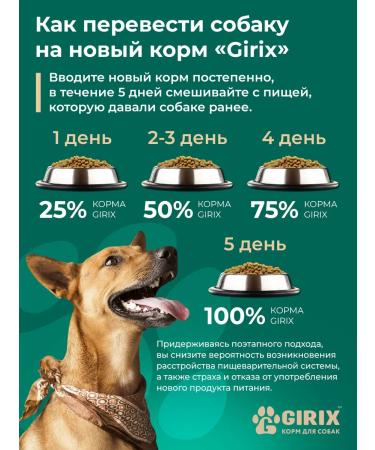 GIRIX Wet feed for dogs of all breeds lamb 250g - Buy Online on GoSupps.com