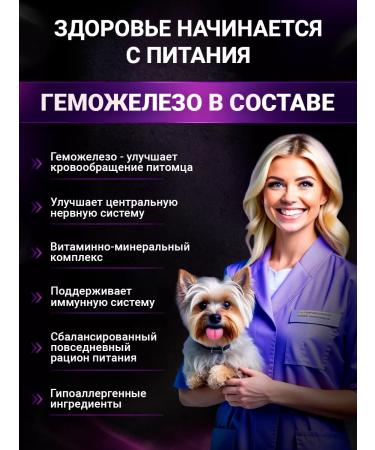 BUDDY DINNER Dry food for dogs of small breeds with beef 12 kg - Buy Online on GoSupps.com