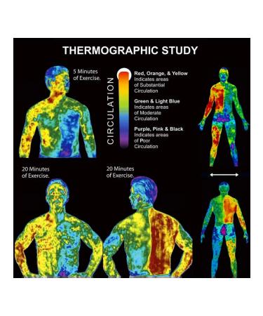 ELAIMEI Lighting stick cream fat burner for men and women - Buy Online on GoSupps.com