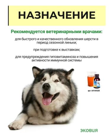 Farmavit NEO A complex of vitamins for dogs perfection of wool 2 - Buy Online on GoSupps.com