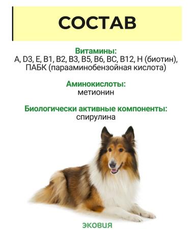 Farmavit NEO A complex of vitamins for dogs perfection of wool 2 - Buy Online on GoSupps.com