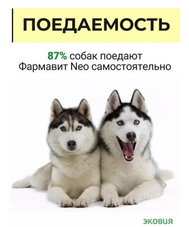 Farmavit NEO A complex of vitamins for dogs perfection of wool 3 - Buy Online on GoSupps.com