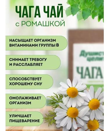 Fragrant Healer birch chaga with chamomile in bags 20*2 g - Buy Online on GoSupps.com