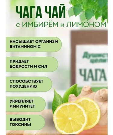 Fragrant Healer Birch chaga with lemon and ginger in bags 20*2 g - Buy Online on GoSupps.com