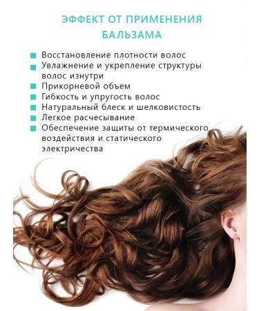 FOLLISYSTEM FS Compact - Buy Online on GoSupps.com