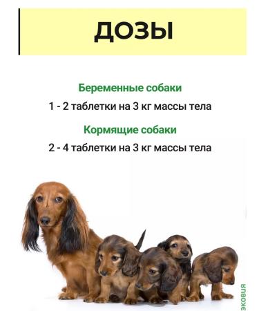 Farmavit NEO A complex of vitamins for pregnant and lactating dogs 2 - Buy Online on GoSupps.com