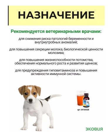 Farmavit NEO A complex of vitamins for pregnant and lactating dogs 2 - Buy Online on GoSupps.com