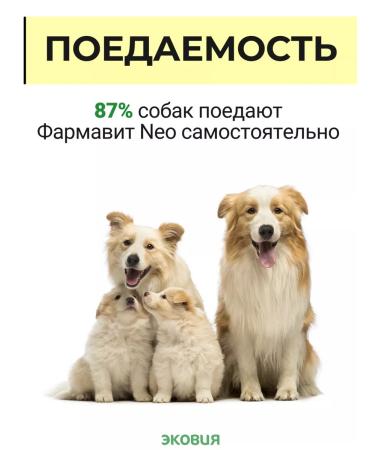 Farmavit NEO A complex of vitamins for pregnant and lactating dogs 2 - Buy Online on GoSupps.com