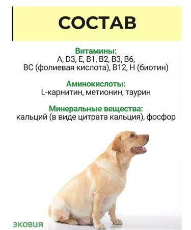 Farmavit NEO A complex of vitamins for pregnant and lactating dogs 10 U - Buy Online on GoSupps.com