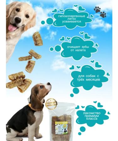 Khrumka T -shirt of beef for dogs - Buy Online on GoSupps.com