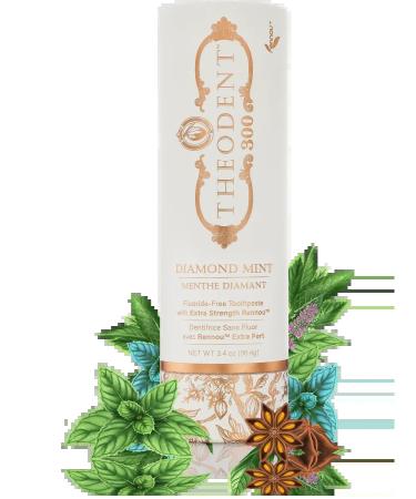 Theodent Tooth Paste Theo Studge 300