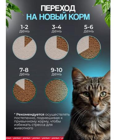 PALPITO Dry food for cats Urinaria premium 1.5 kg - Buy Online on GoSupps.com