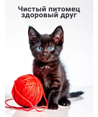 Biovax Kittens for kittens 355 ml - Buy Online on GoSupps.com