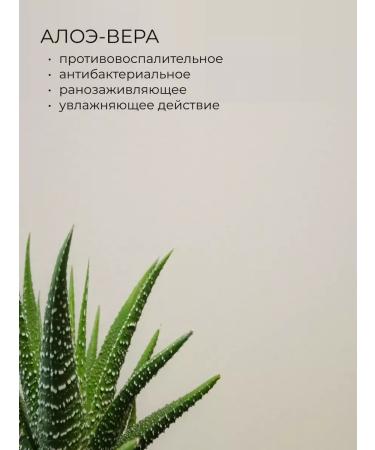 RudLine Soap foam perfumed for hands Maltose Dreams 1000 ml - Buy Online on GoSupps.com