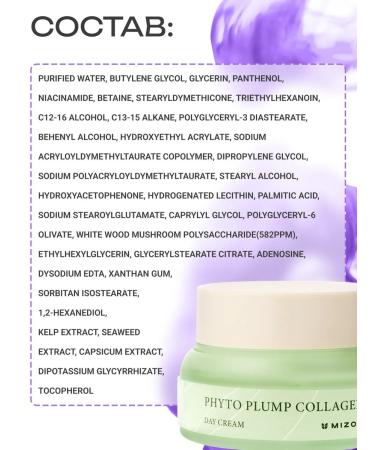 MIZON Facial day cream with phytollagen 50ml - Buy Online on GoSupps.com