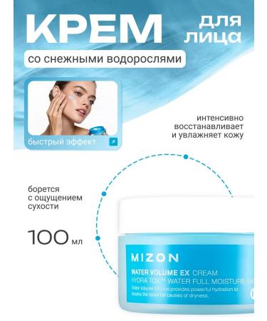 MIZON Moisturizing face cream 100ml