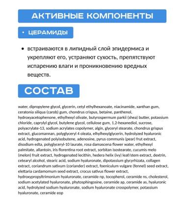 BIODANCE Night hydrogel mask with cramids against dryness - Buy Online on GoSupps.com