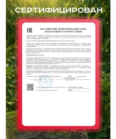 Fusetea Cold tea Fuse Tea (Fusti) with a taste of watermelon 1l - Buy Online on GoSupps.com