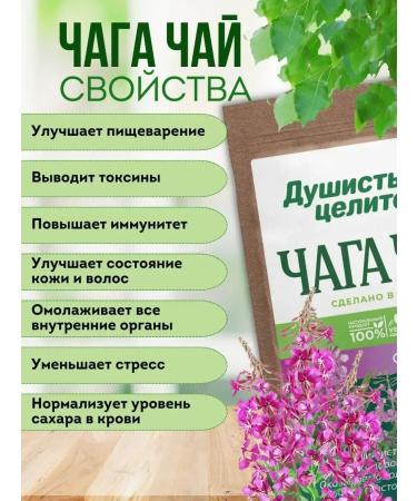 Fragrant Healer Herbal chaga tea with Ivan-chim 100 grams - Buy Online on GoSupps.com