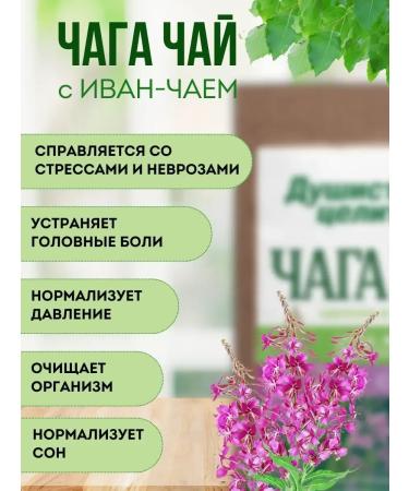 Fragrant Healer Herbal chaga tea with Ivan-chim 100 grams - Buy Online on GoSupps.com