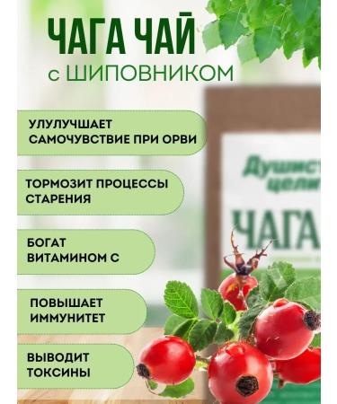 Fragrant Healer Herbal chaga tea with rose hips 100 grams - Buy Online on GoSupps.com
