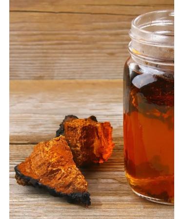 Fragrant Healer Herbal chaga tea with mint 100 grams - Buy Online on GoSupps.com