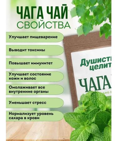 Fragrant Healer Herbal chaga tea with mint 100 grams - Buy Online on GoSupps.com