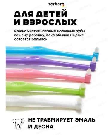 Zerberg MONOWER TOLABLE BRANCE BRANT - Buy Online on GoSupps.com